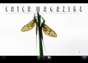 Screen shot of the cover of this month's Catch.