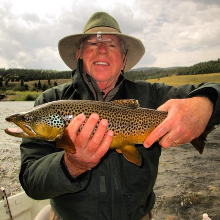 Brown Trout on the Madison