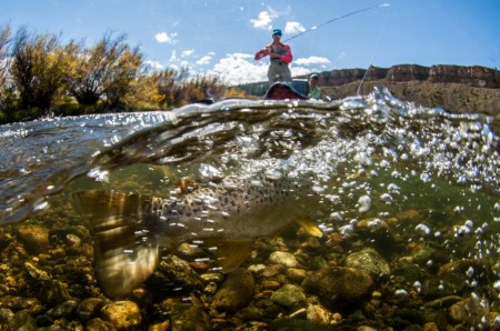 Fly Fishing the Madison River