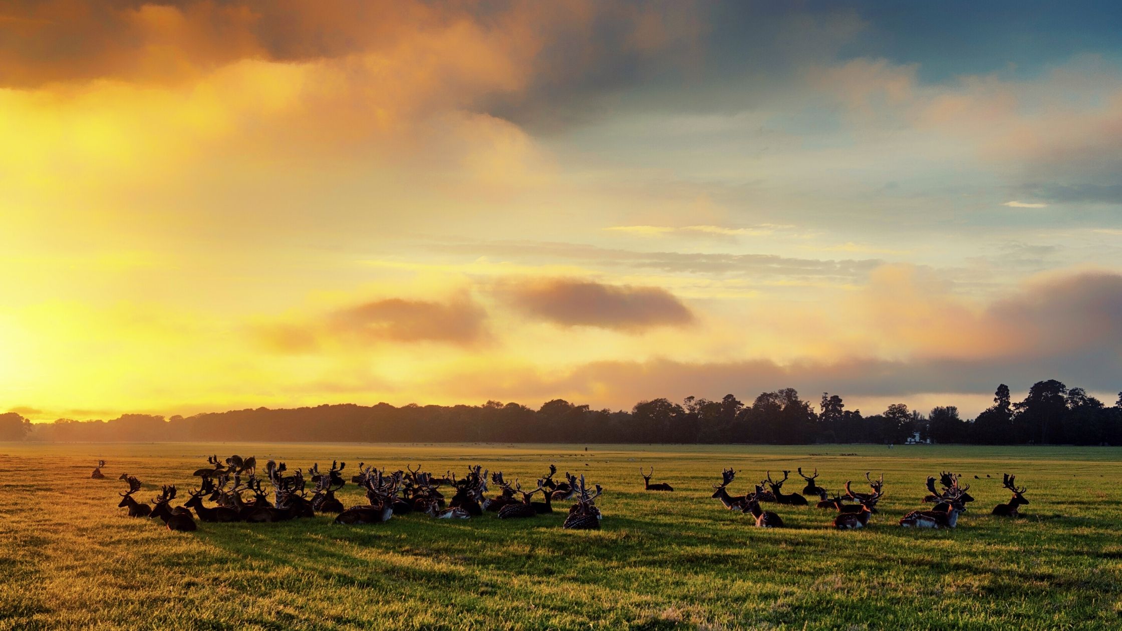 5 of the best autumn walks in Co. Dublin