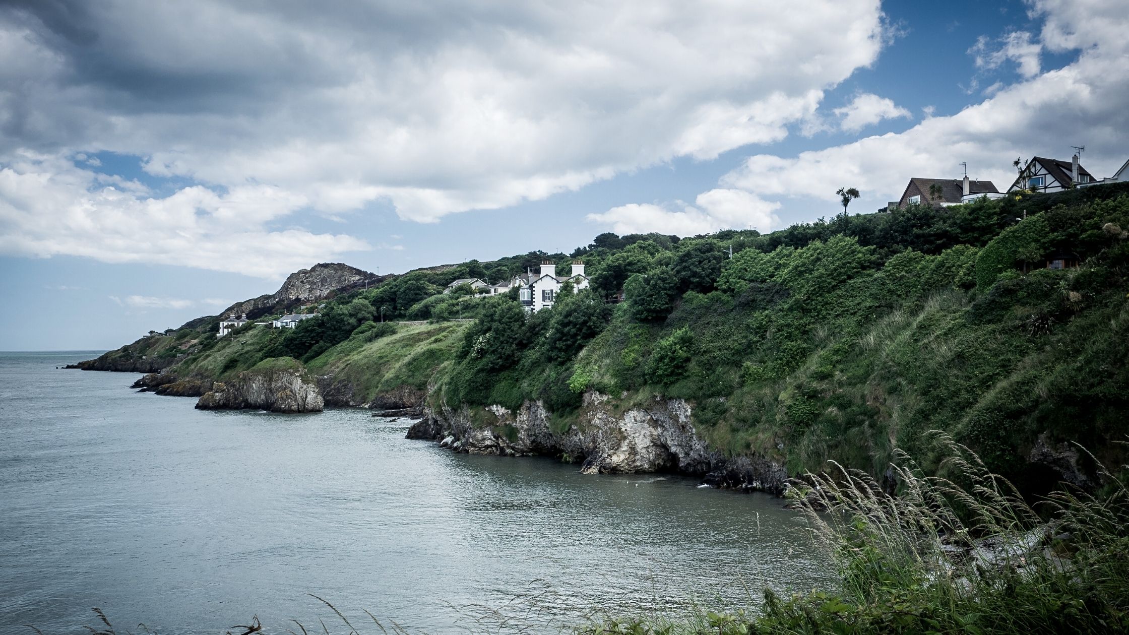 5 of the best autumn walks in Co. Dublin