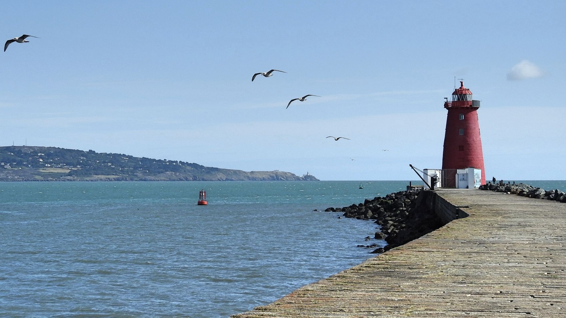 5 of the best autumn walks in Co. Dublin
