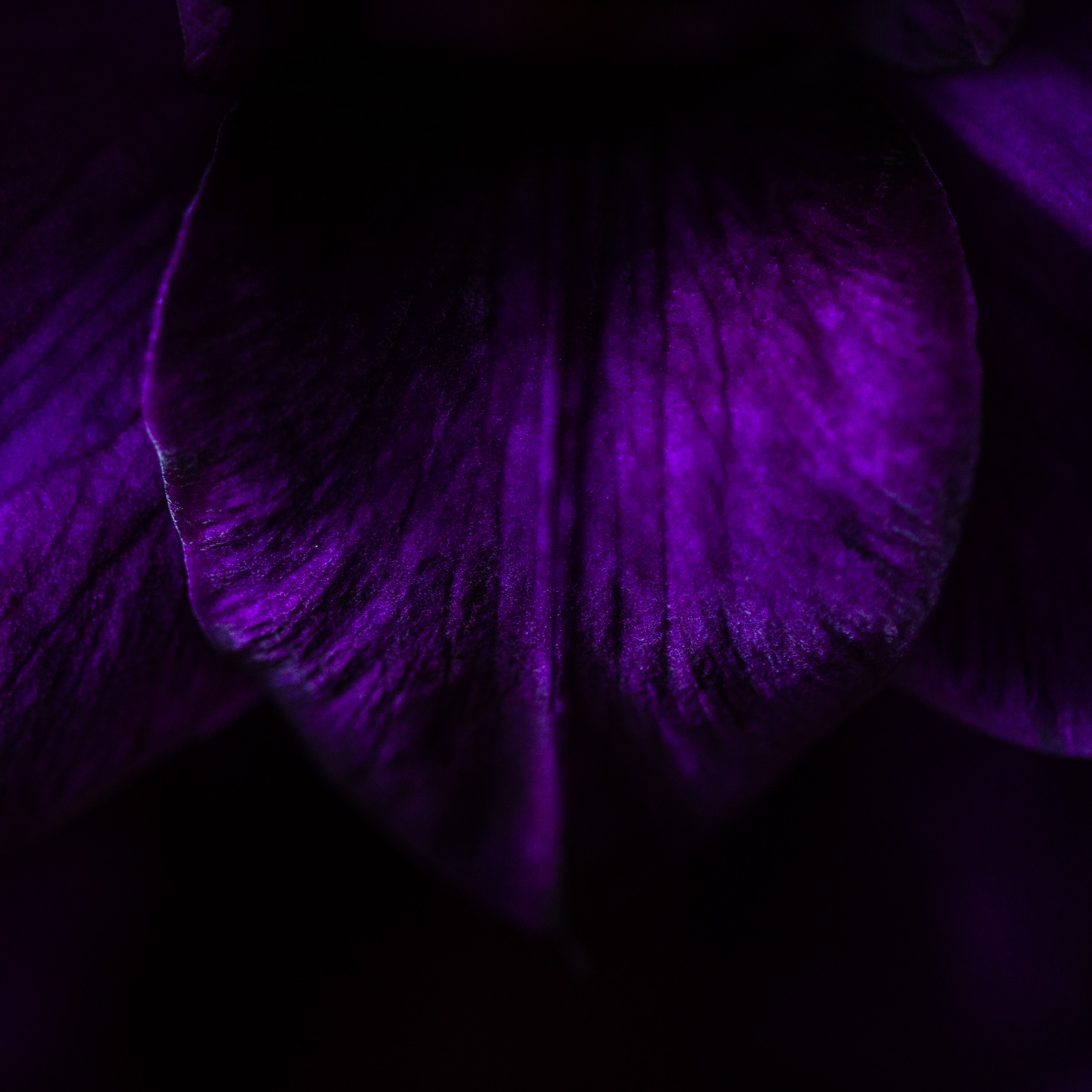 More than ever my words resonate with my mood these days.
It feels like parts of me are dying.
Each day a little bit more.
Going deep & deeper.
Layer after layer. Coming closer to me. To my golden seed.