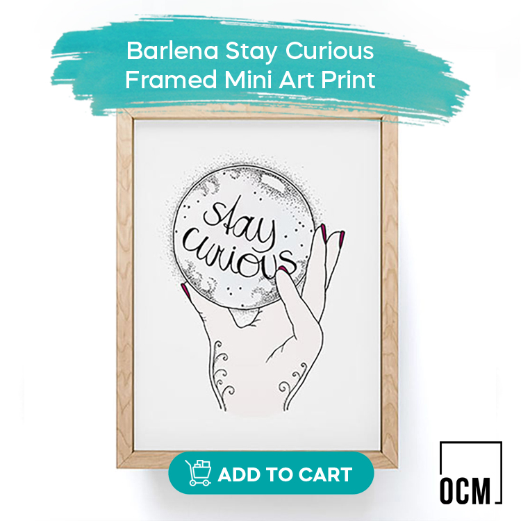 Barlena Stay Curious Framed Mini Art Print