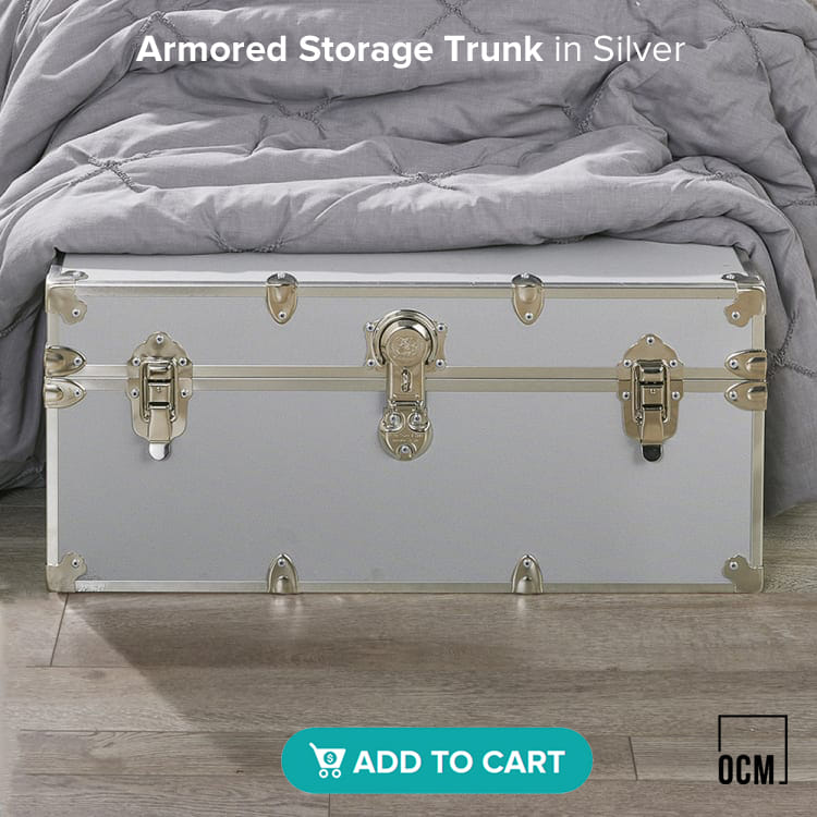 dorm Armored Storage Trunk in Silver