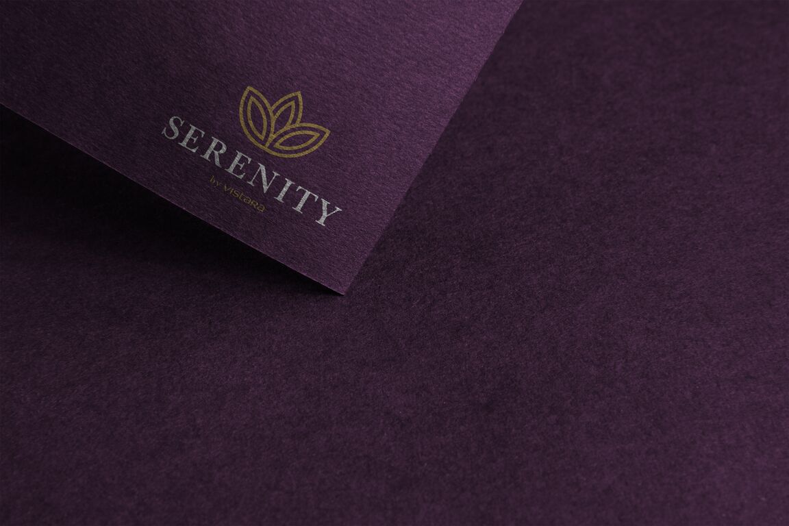 Arun Sharma's airline branding concept 6