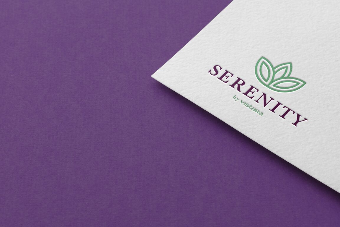 Arun Sharma's airline branding concept 5