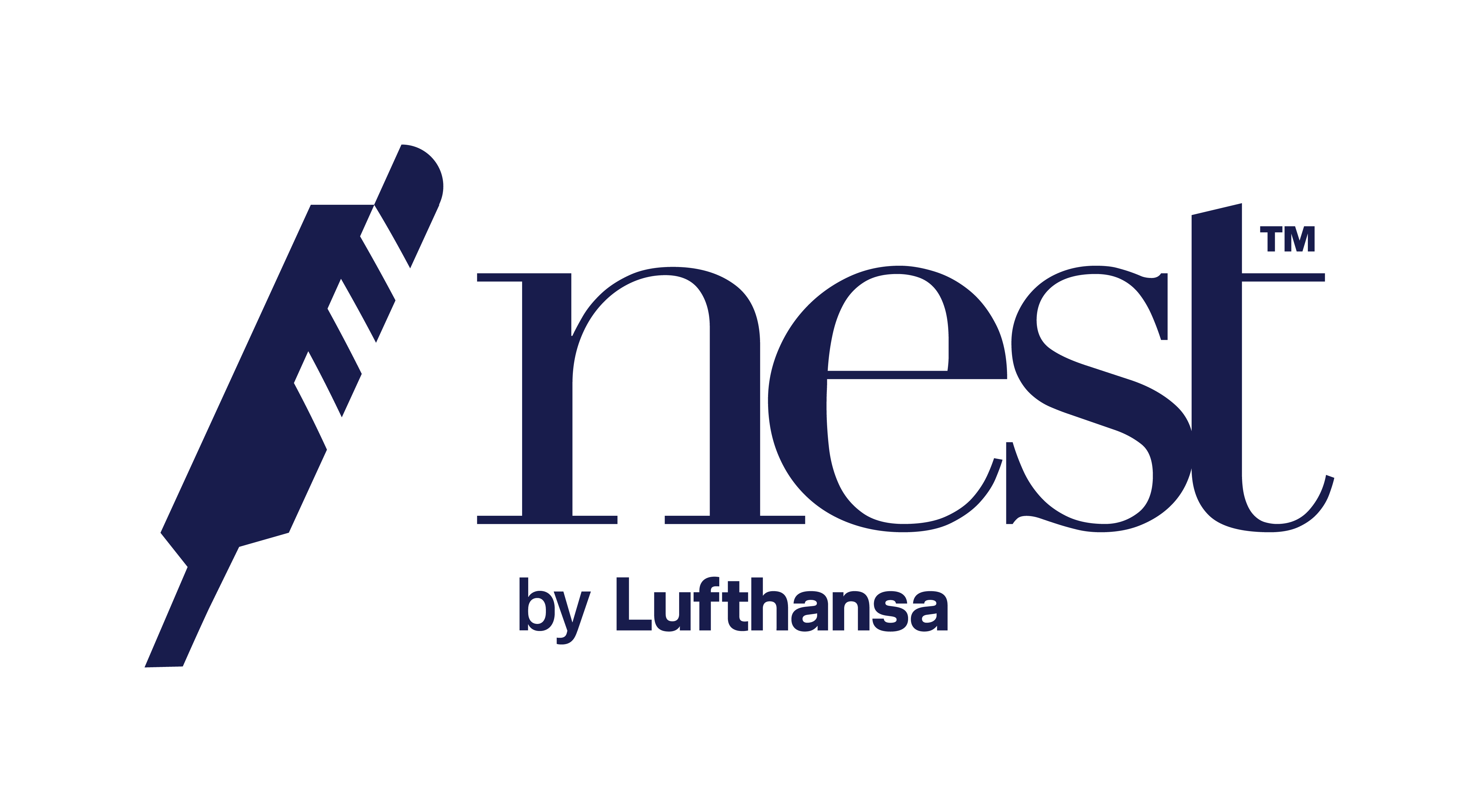 Airline wordmark and icon design