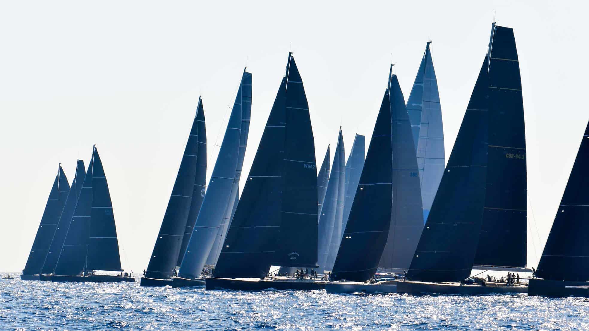 sailboat regatta