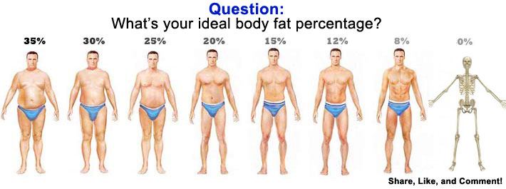 LeanBodyMass