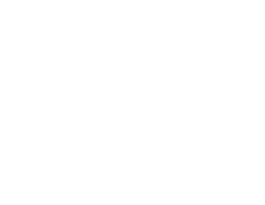 Cycle Toronto Logo