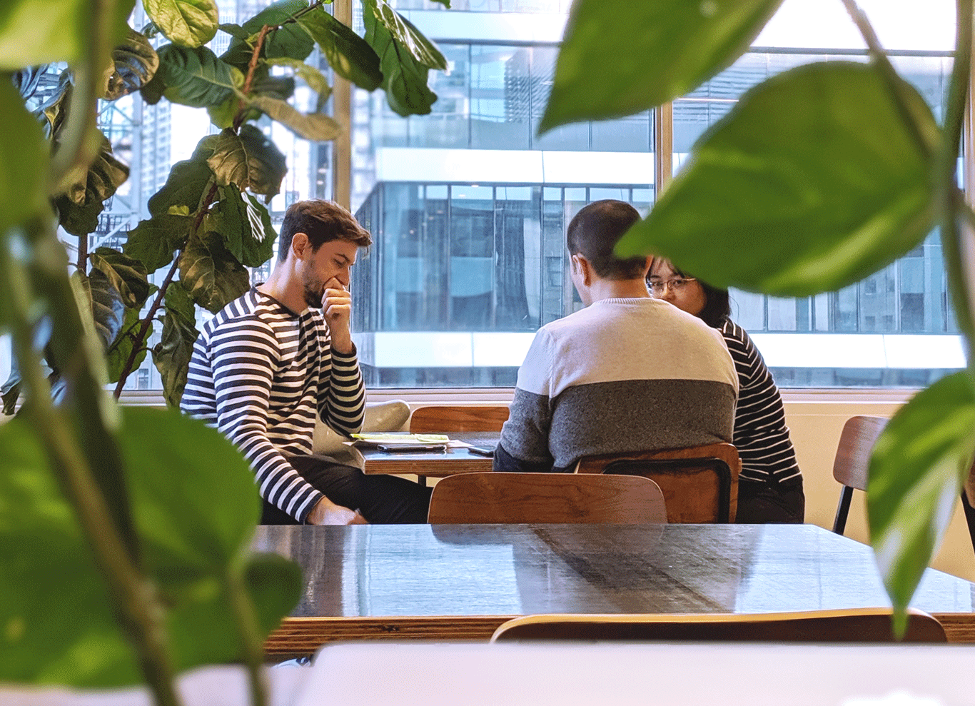 group chat, office greenery, break out space, casual meeting, workspace