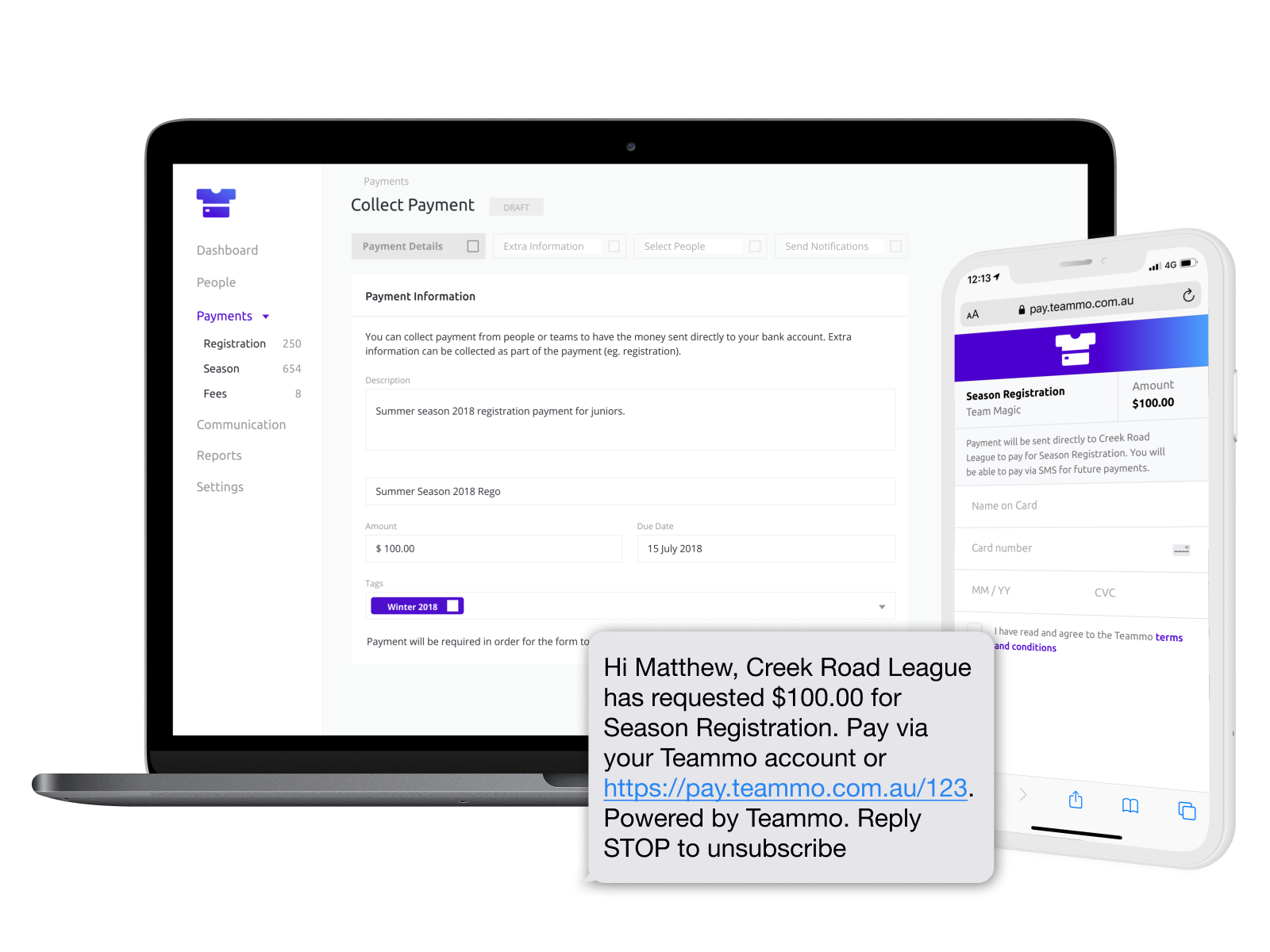 Screenshot of the Teammo platform which enables you to send payment requests to players and teams.