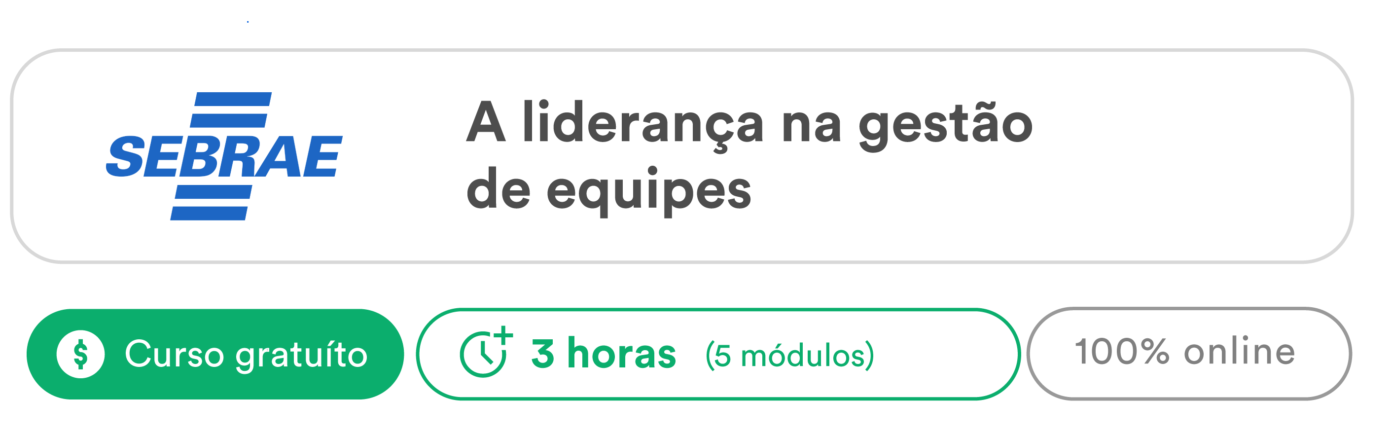 SEBRAE A liderança na gestão de equipes