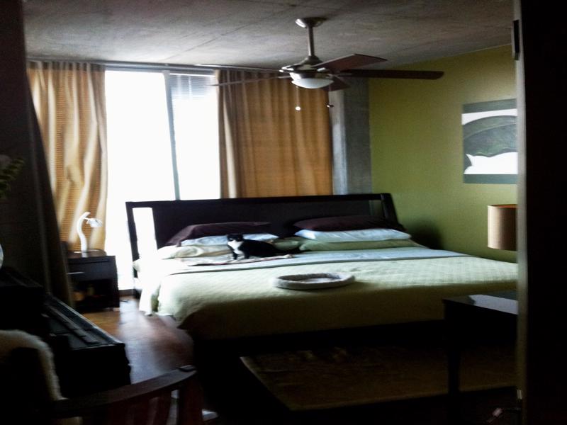BEFORE: Bedroom