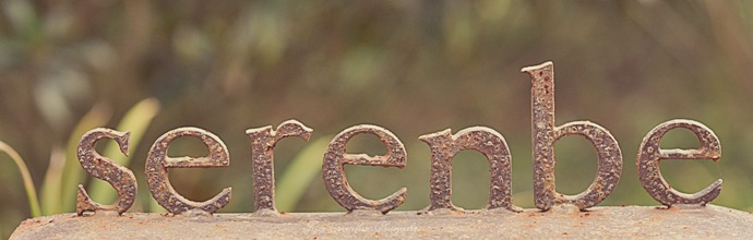serenbe sign logo