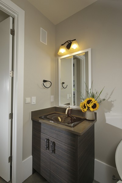 100556-serenbe-lane-contemporary-interior-powder-bath-atlanta-lg-squared-inc-proud-green-home