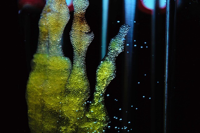 Stem Cell Therapy - An Overview