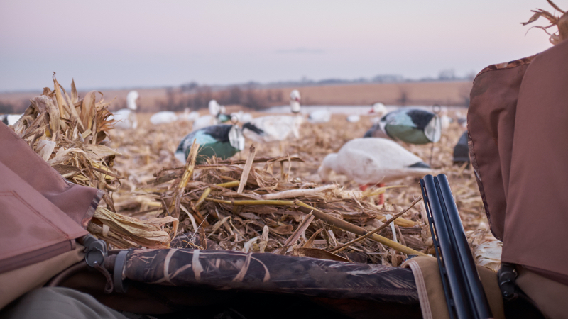 how much cover does your duck blind need