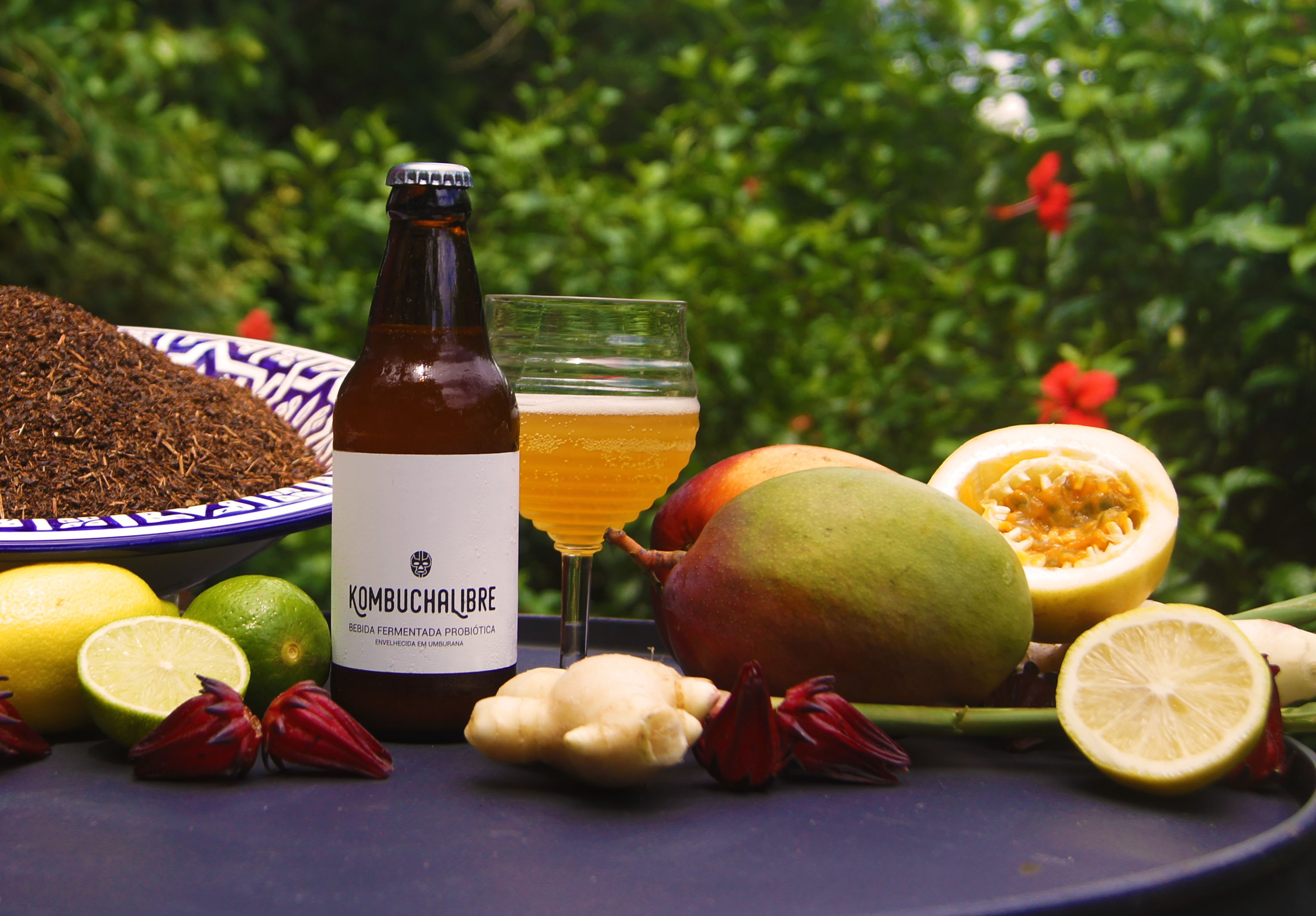 A dupla Kombucha Libre