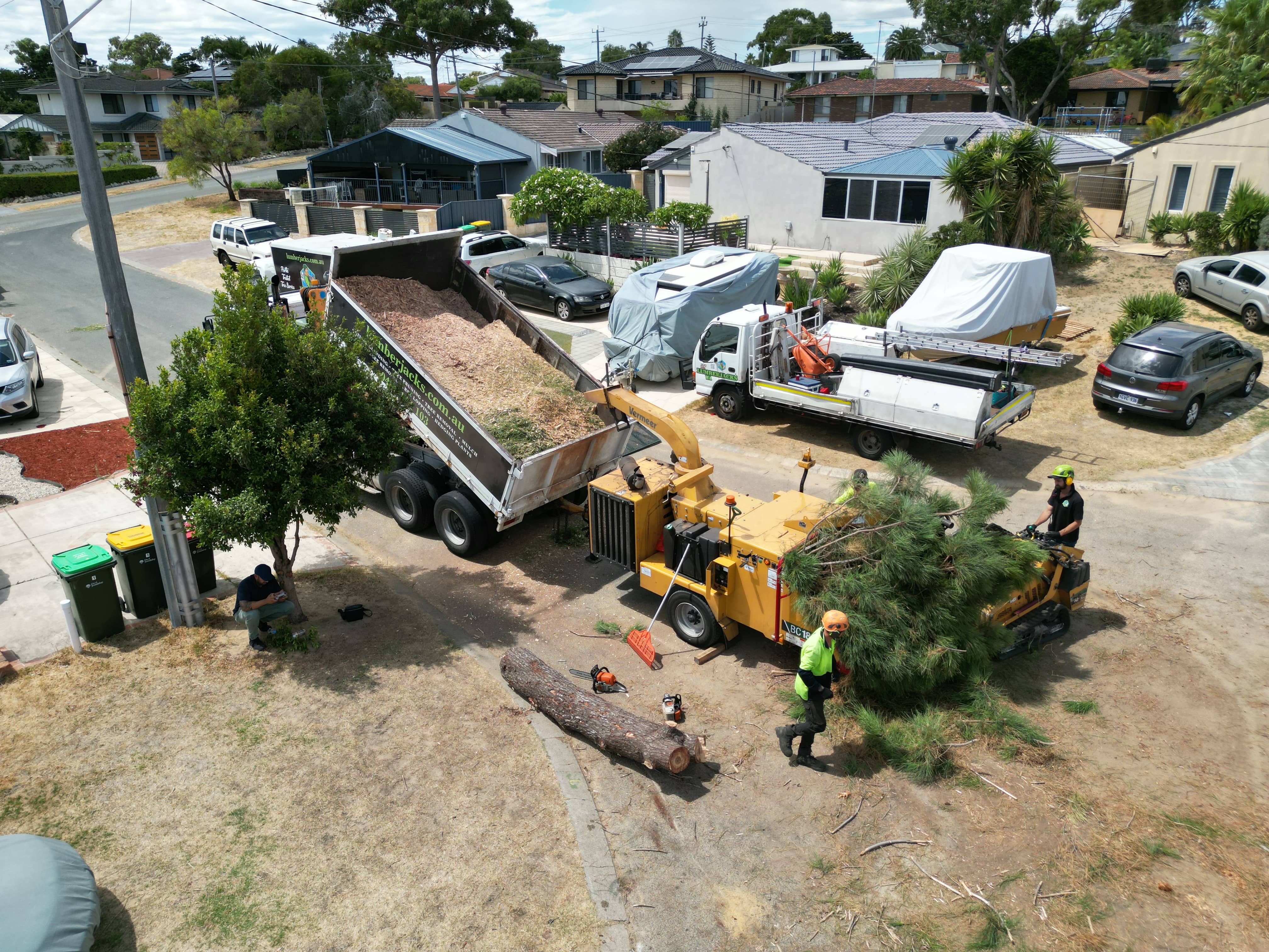 🌳 Tree Lopping for Storm Damage Prevention in Perth Lumberjacks WA