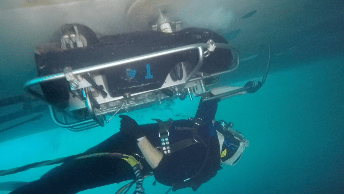 Hull Cleaning