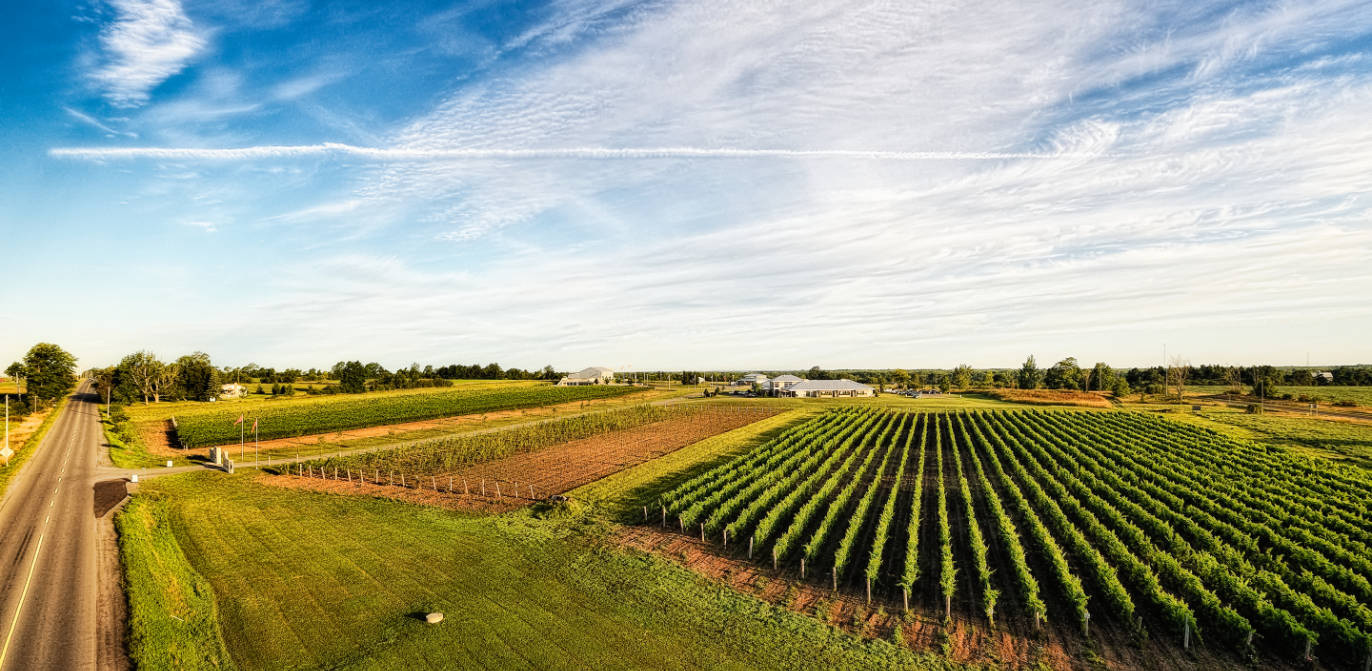 Prince Edward County