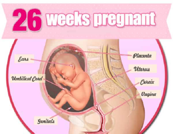 địa chỉ đình chỉ thai 26 tuần tuổi an toàn
