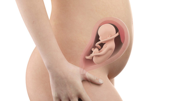 địa chỉ đình chỉ thai 26 tuần tuổi an toàn