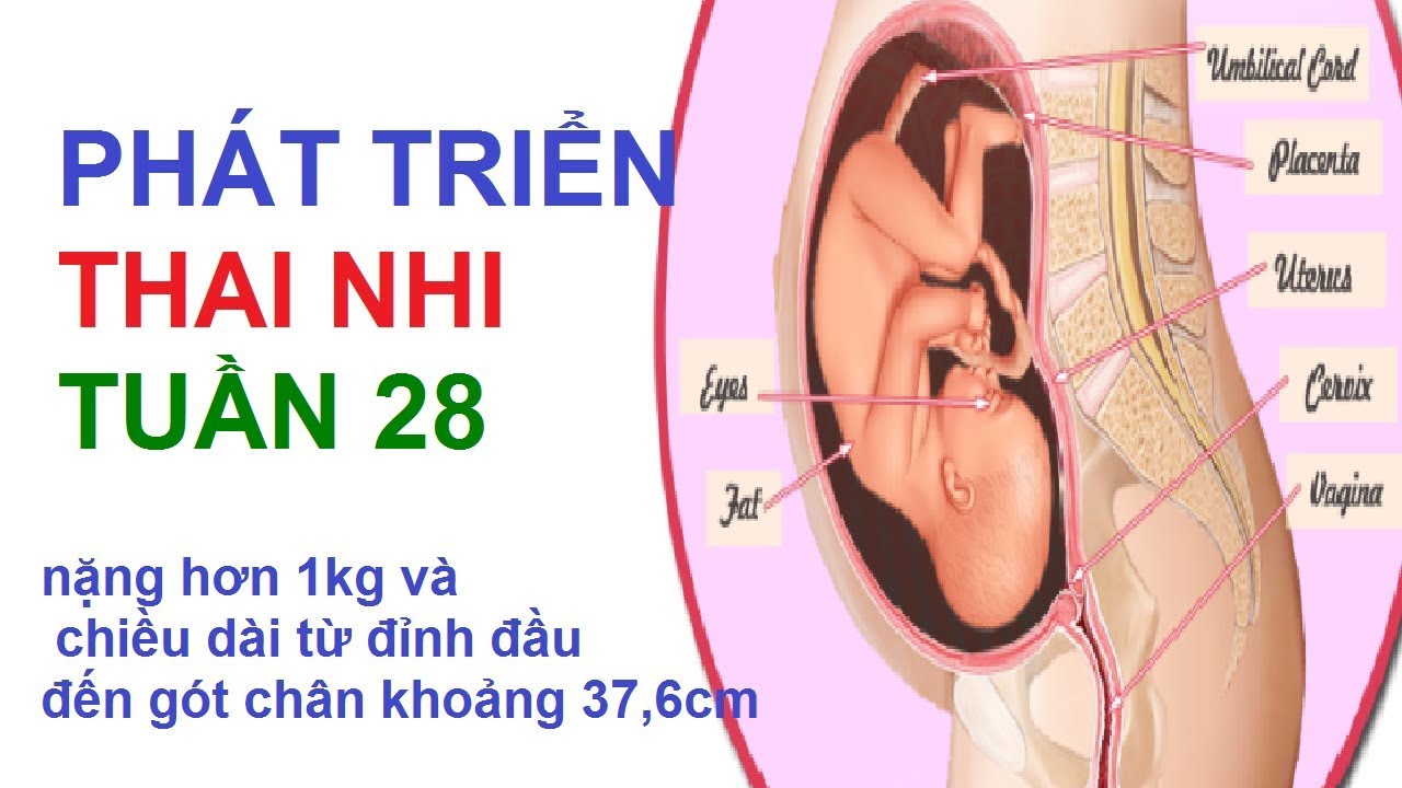đình chỉ thai 28 tuần