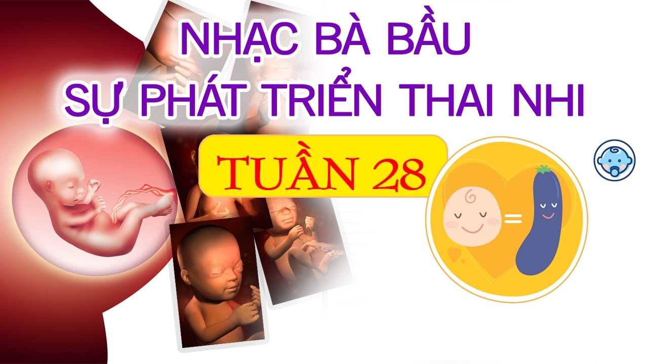 đình chỉ thai 28 tuần