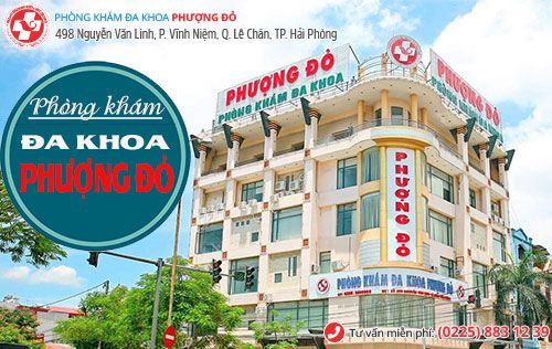 đình chỉ thai nghén là gì