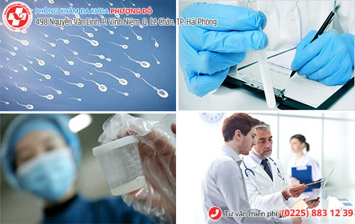 địa chỉ xét nghiệm tinh dịch đồ ở hải phòng