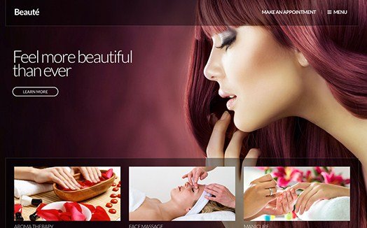 CSS Igniter Beaute WordPress Theme