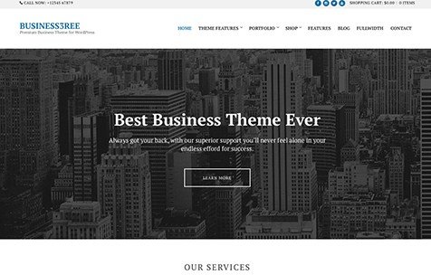 CSS Igniter Business3ree WordPress Theme