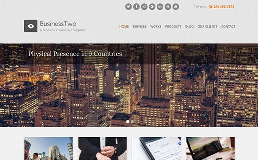 CSS Igniter BusinessTwo WordPress Theme