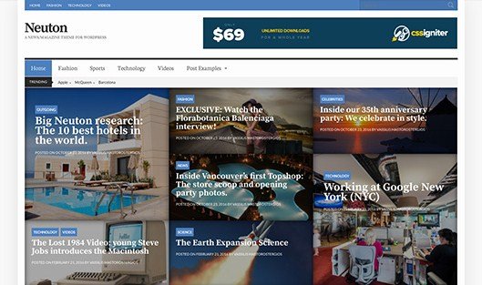 CSS Igniter Neuton WordPress Theme