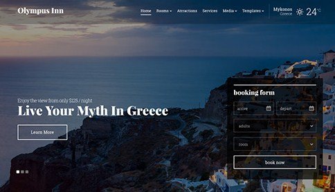 CSS Igniter Olympus Inn WordPress Theme