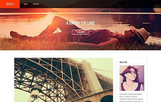 CSS Igniter Uberto WordPress Theme