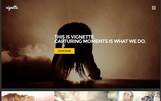 CSS Igniter Vignette WordPress Theme