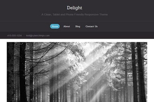 CyberChimps Delight WordPress Theme