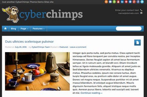 CyberChimps iFeature Pro 5 WordPress Theme CyberChimps iFeature Pro 5 WordPress Theme