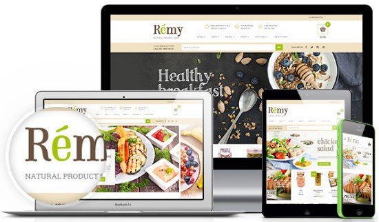 YITH Remy Premium WooCommerce Themes
