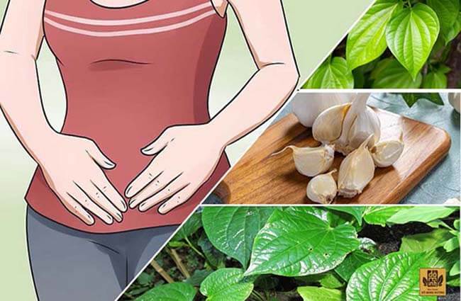 cách trị ngứa vùng kín nữ hiệu quả