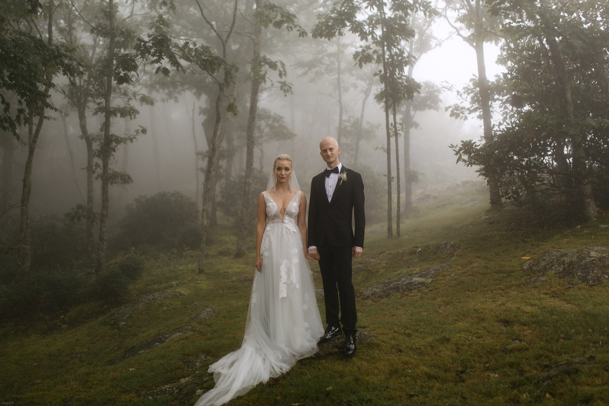 Forestry Films California Wedding Videographer