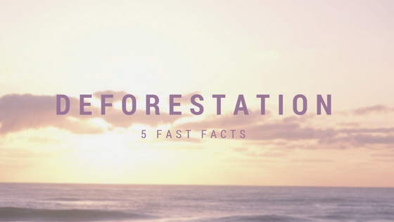 5 fast facts about deforestation