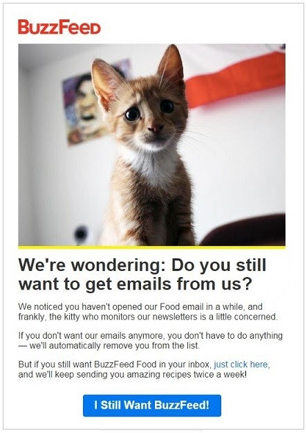 Re-engagement email example