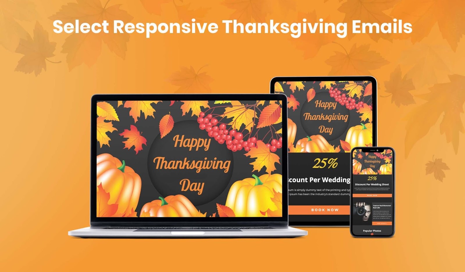 Select responsive designs for Thanksgiving emails
