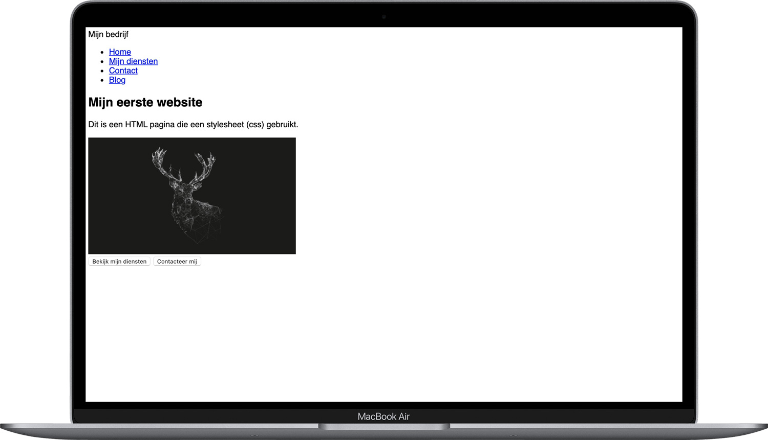 macbook met website dat geen css gebruikt