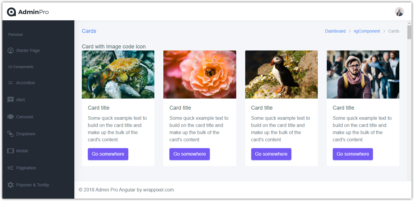 AdminPro